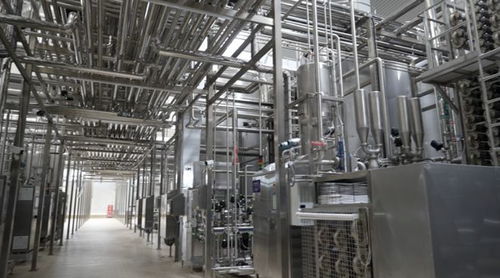 消費(fèi)品制造業(yè)高質(zhì)量發(fā)展調(diào)研行 探訪蒙牛 零碳 工廠 尋找生產(chǎn)車間里的 綠色密碼