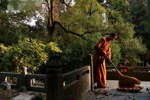 學(xué)處 你聽(tīng)過(guò)達(dá)摩祖師開(kāi)示的修行方法嗎 略辨大乘入道四行觀(guān) 細(xì)講 上